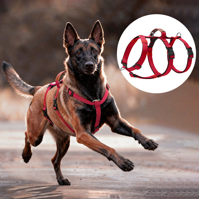 No Pull Dog Harness - Arnés de nailon a prueba de