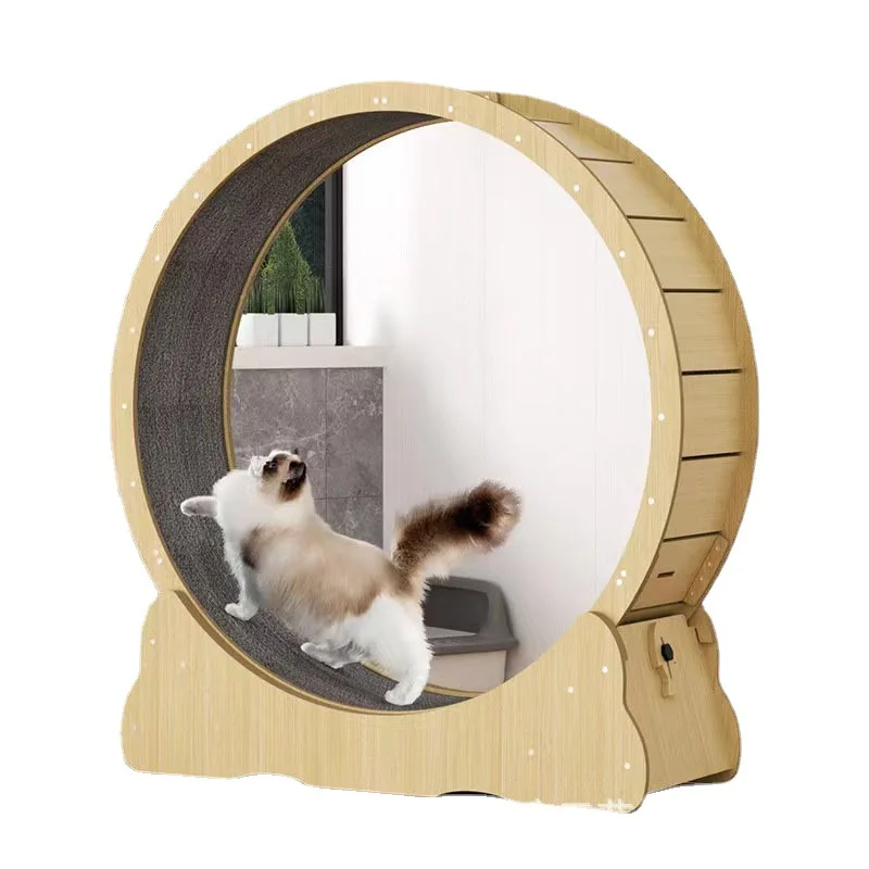Interactive Cat Toy - Rueda de fitness para gatos, juguete