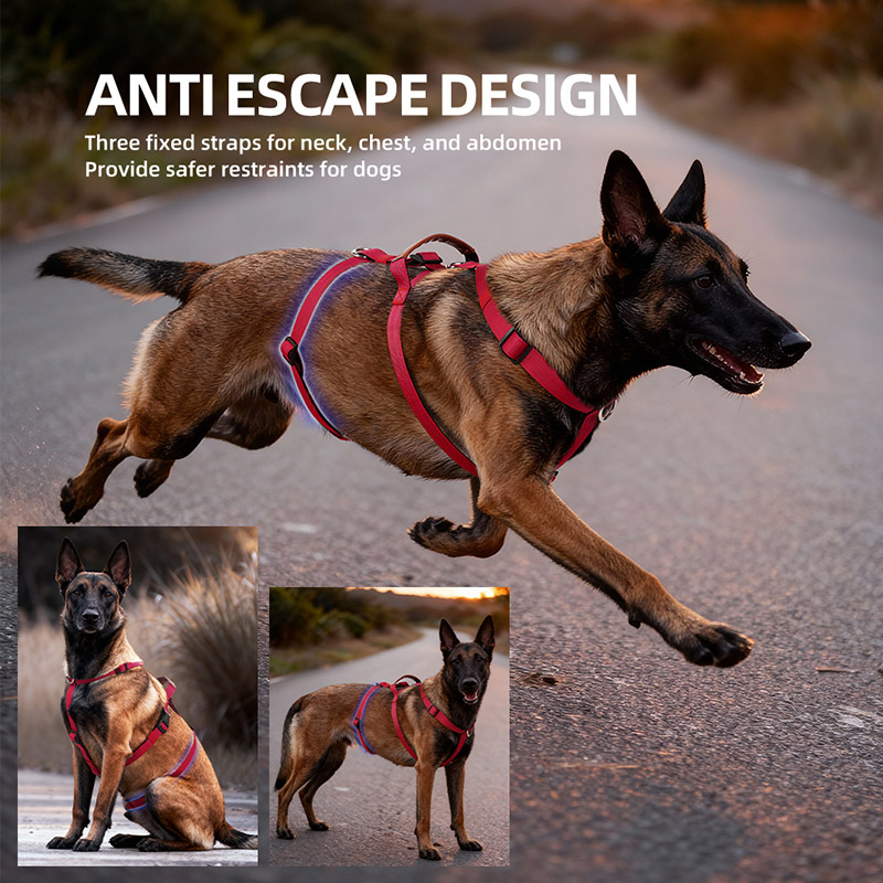 Arnés de nailon a prueba de es - No Pull Dog Harness reseña y precio