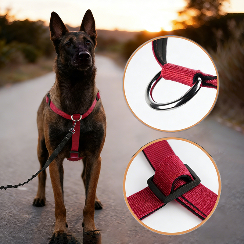 Arnés de nailon a prueba de es - No Pull Dog Harness reseña y precio