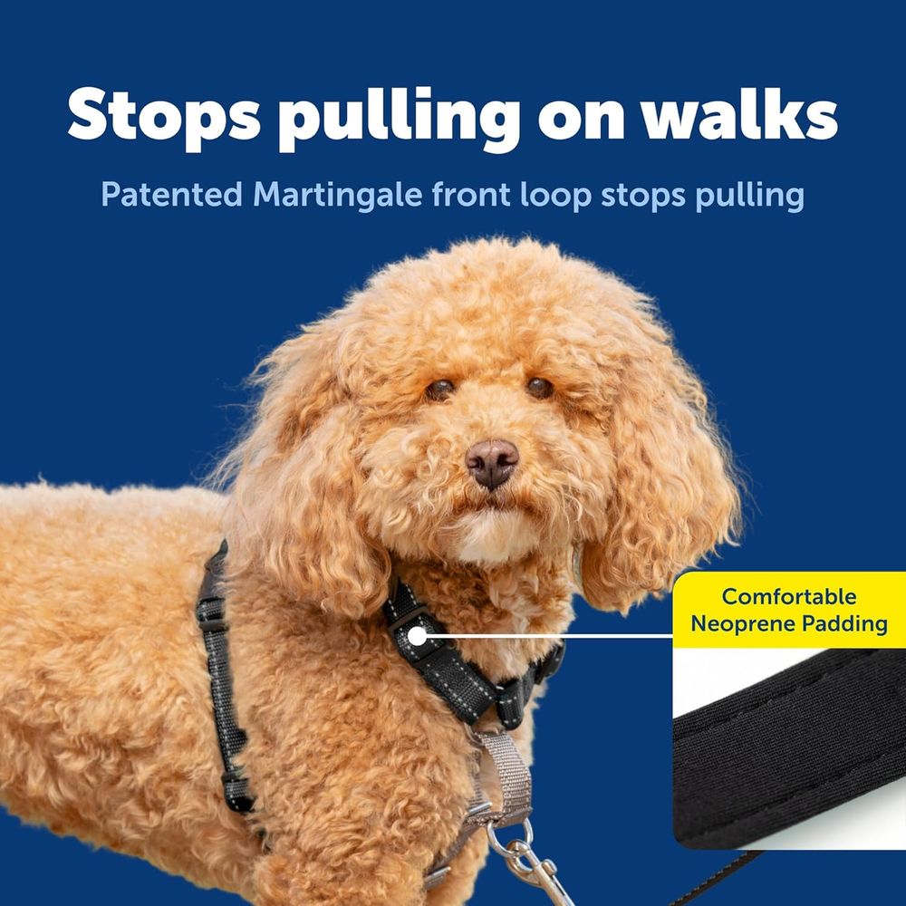 Arnés para perros 3 en 1 sin t - No Pull Dog Harness reseña y precio