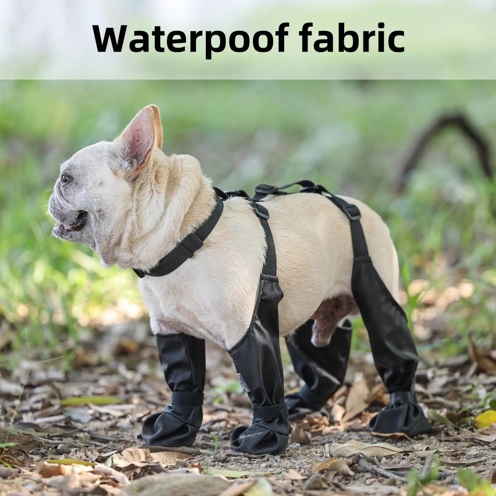 Zapatos impermeables anticaída - Dog Booties Paw Protector reseña y precio