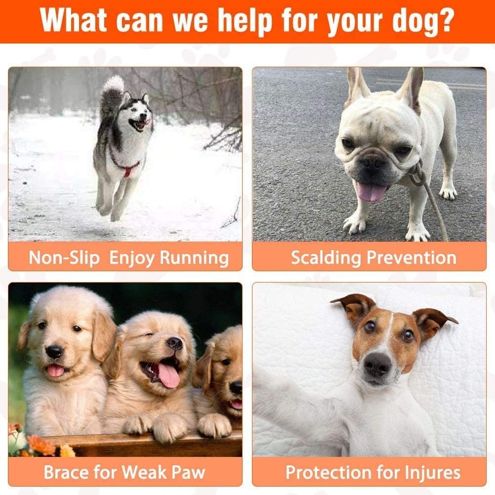 Protector de pata de perro ant - Dog Booties Paw Protector reseña y precio