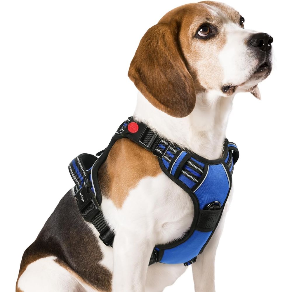 Arnés para Perros Medianos, Fá - No Pull Dog Harness reseña y precio