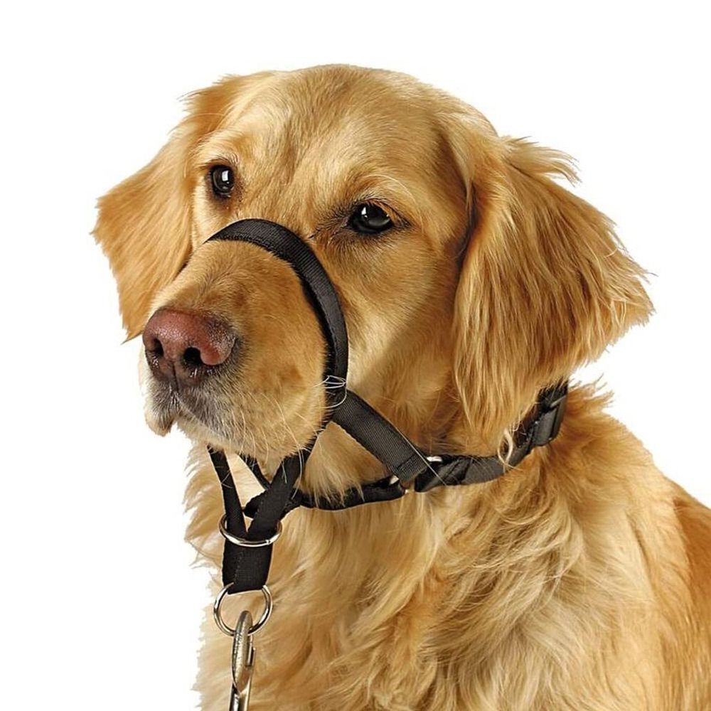 Correa de entrenamiento de nai - No Pull Dog Harness reseña y precio