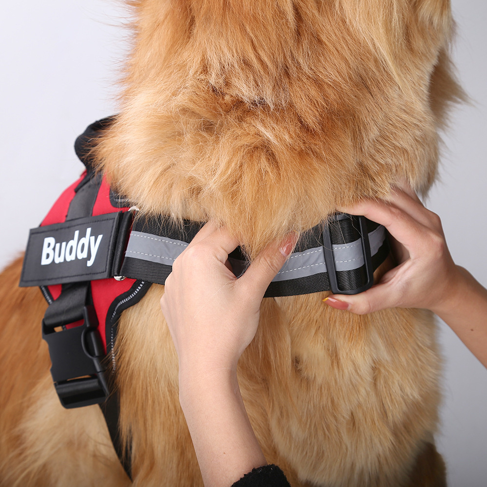 Chaleco de arnés de perro tran - No Pull Dog Harness reseña y precio