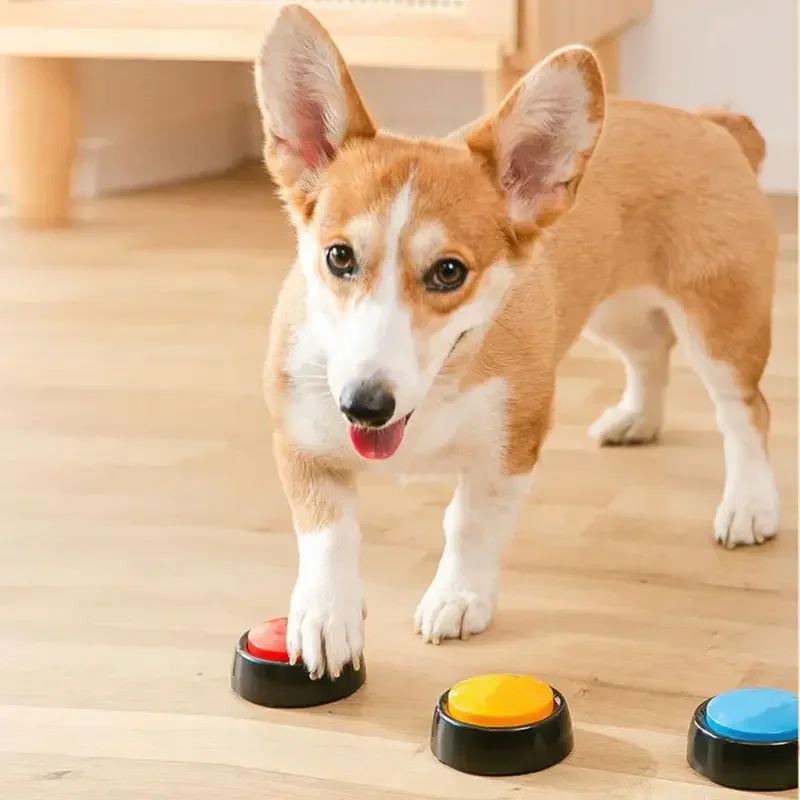 Caja de sonido para mascotas,  - Interactive Cat Toy reseña y precio