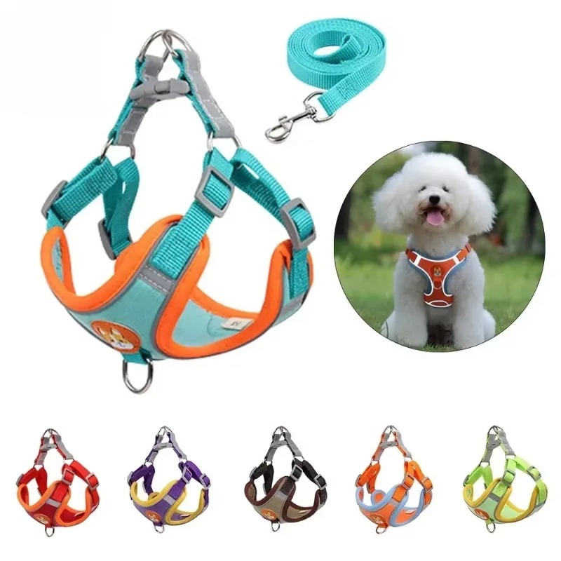 Arnés y Correa para Perros, Aj - No Pull Dog Harness reseña y precio