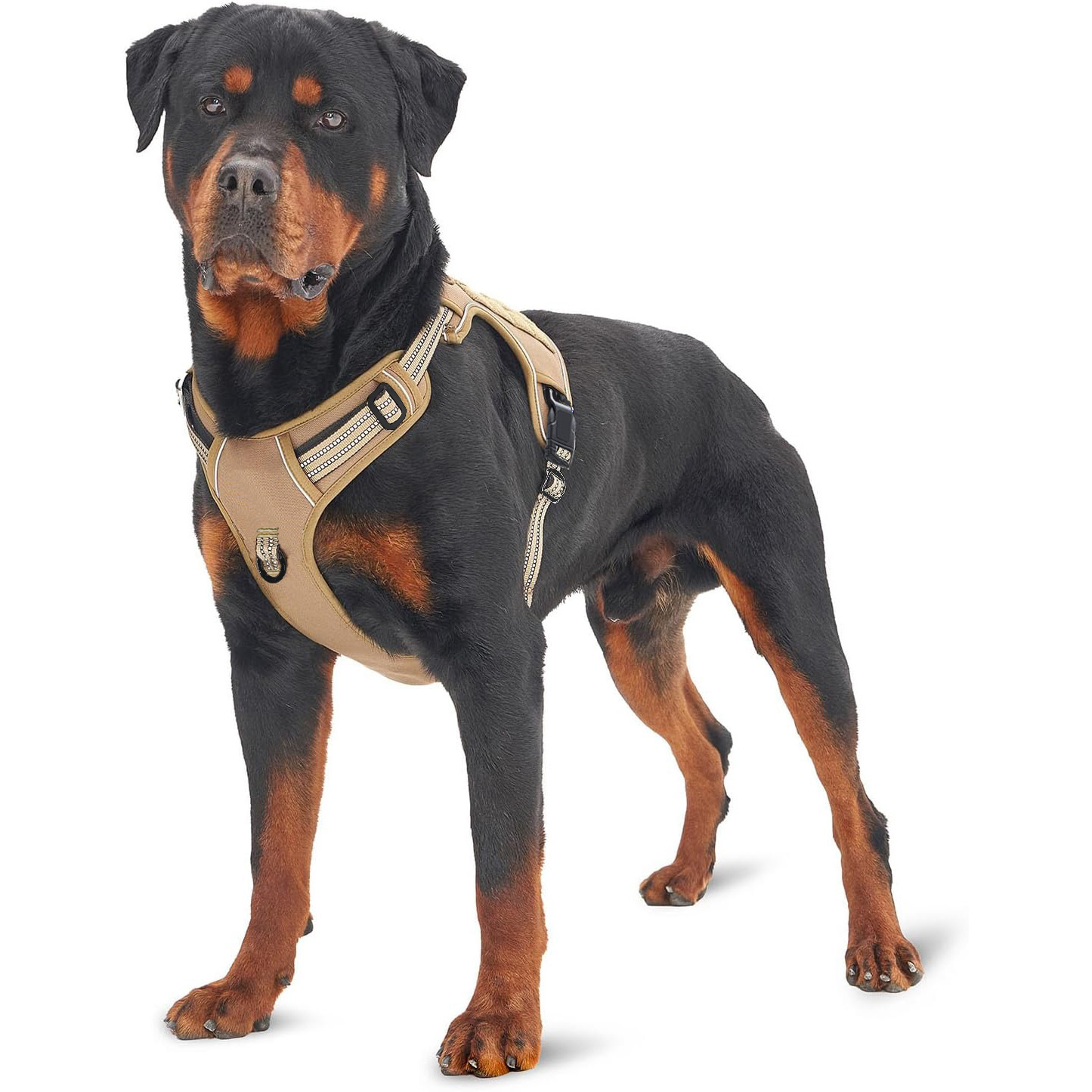 Arnés táctico militar para per - No Pull Dog Harness reseña y precio