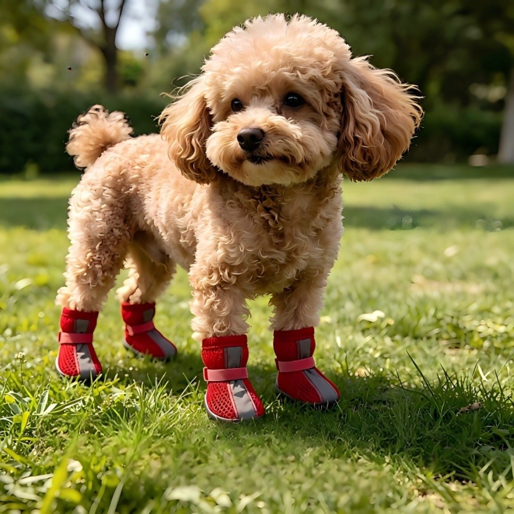 4PCS/SET Zapatos para Perros D - Dog Booties Paw Protector reseña y precio