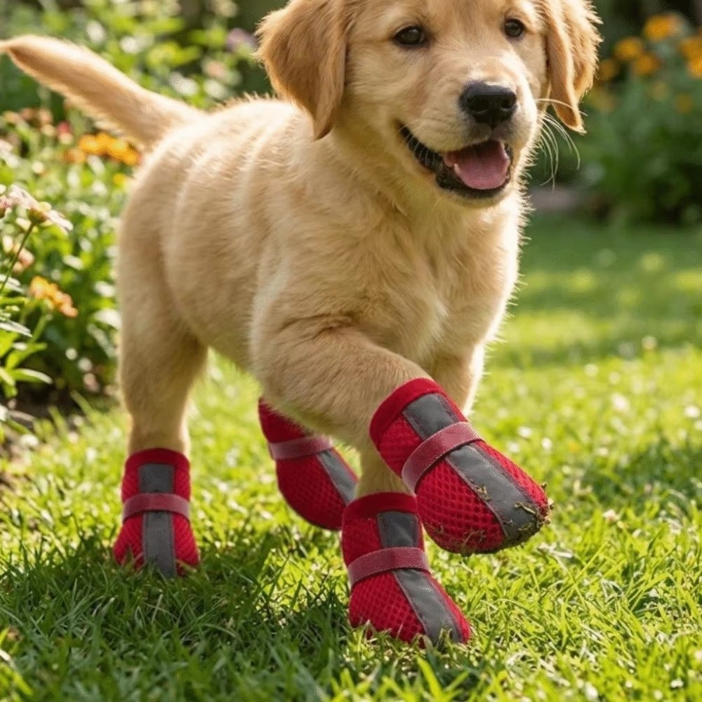 4PCS/SET Zapatos para Perros D - Dog Booties Paw Protector reseña y precio