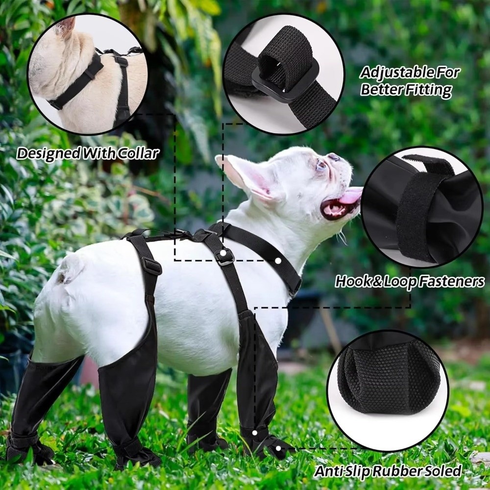 Zapatos impermeables anticaída - Dog Booties Paw Protector reseña y precio