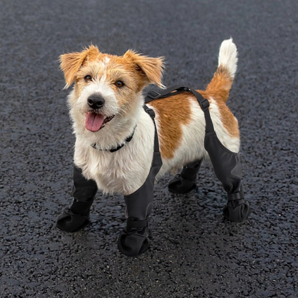 Zapatos impermeables anticaída - Dog Booties Paw Protector reseña y precio