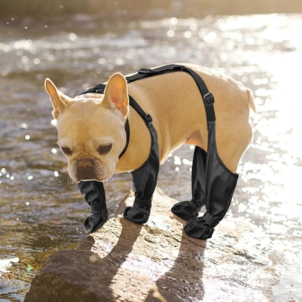 Zapatos impermeables anticaída - Dog Booties Paw Protector reseña y precio